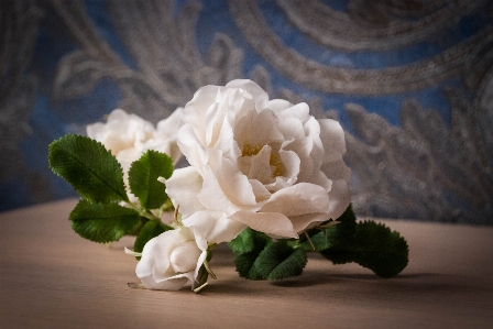 Porcelain flowers flower plant Photo