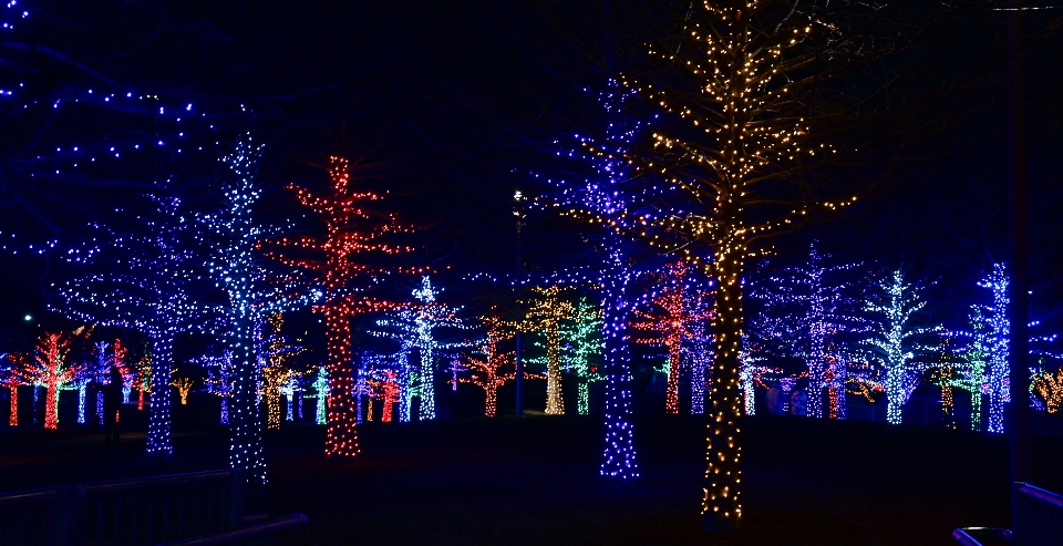 Addison
 noël décorations de noël
 lumières