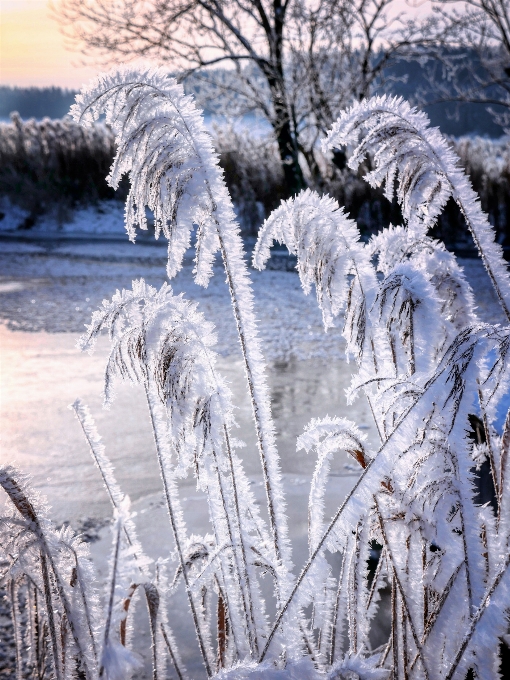 Neige usine lumière paysage naturel
