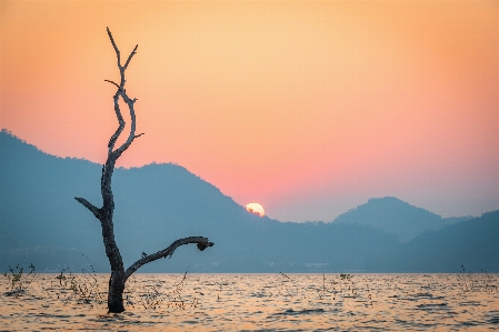 自然 水 空 雰囲気 写真