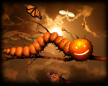 Pumpkin autumn caterpillar smiley Photo