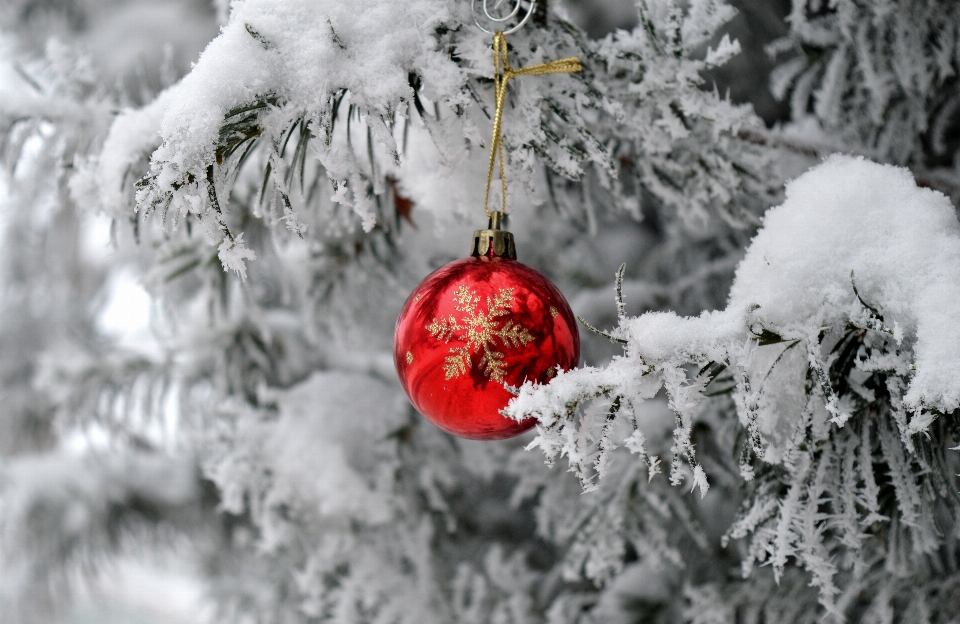 Naturale albero di natale nevicare ornamento natale
