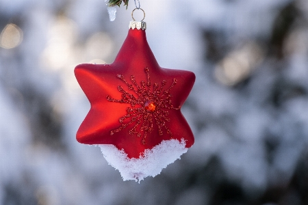 Natural flower christmas ornament petal Photo