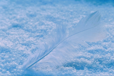 自然 水 液体 空 写真