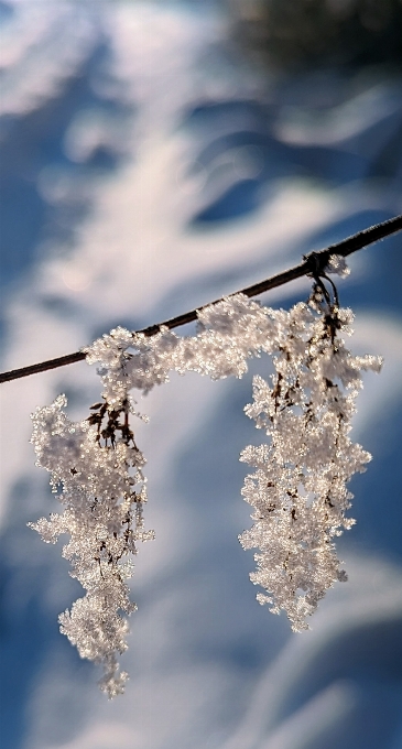 自然 空 クラウド 雪