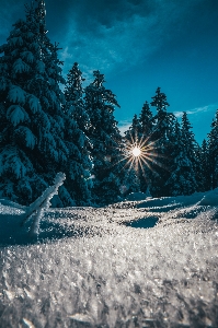 Snow sky cloud natural landscape Photo