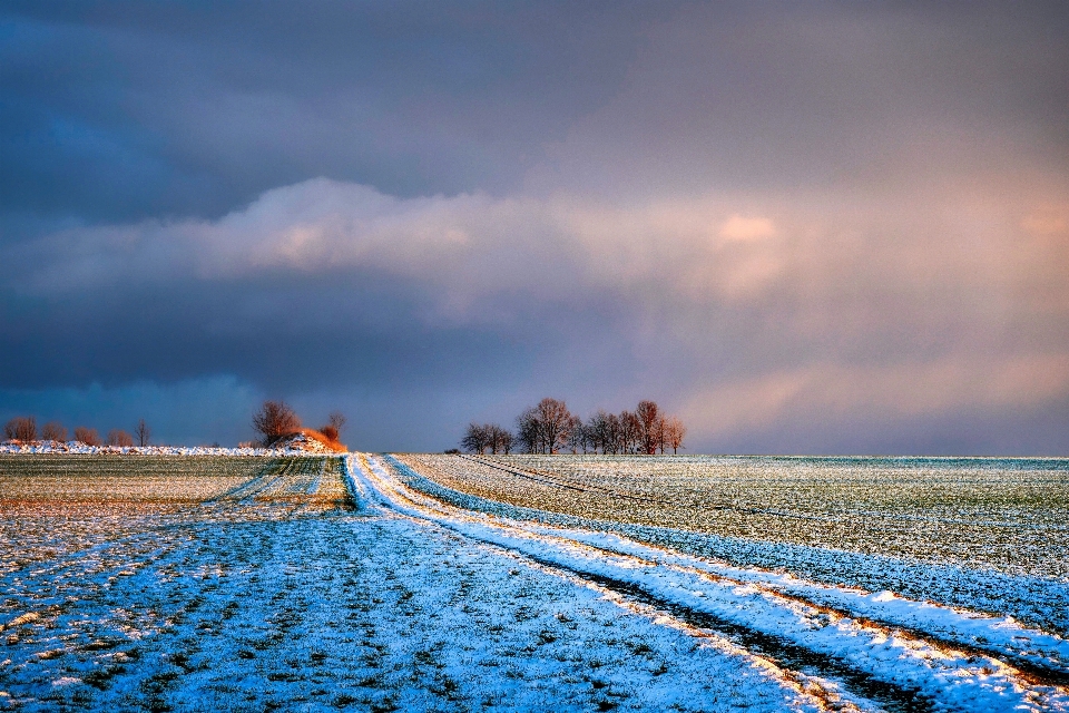 Naturel nuage usine ciel