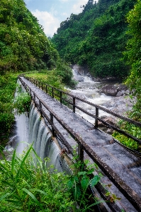 Natural water plant sky Photo