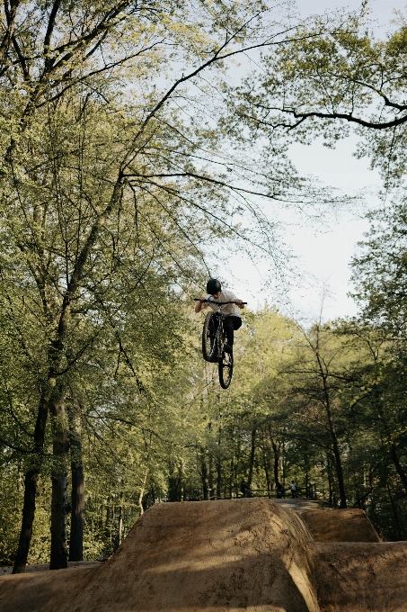 Natural bicycle wheel sky