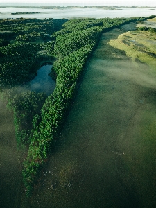 自然 水 自然の風景
 小川の河川地形
 写真