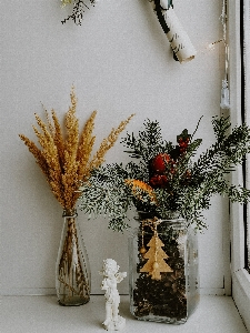 Natural plant flowerpot vase Photo