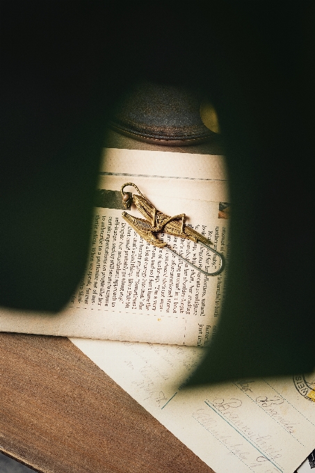 Livre police de caractère bois teintes et nuances
