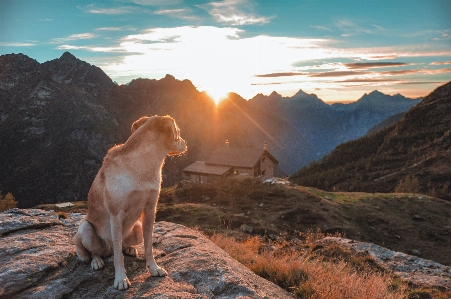 Woman cloud dog sky Photo