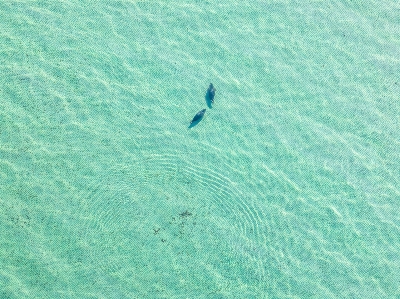 Beach azure aqua slope Photo