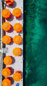 Foto Natural laranja retângulo amarelo