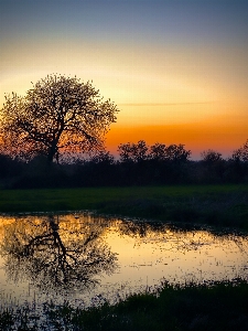 Tree water sky atmosphere Photo