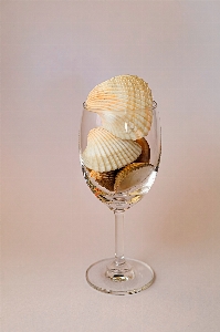 Drink tableware drinkware stemware Photo