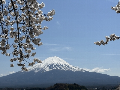 Foto Salju fuji gunung mekar