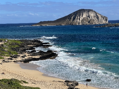 Rabbit island hawaii water sky Photo