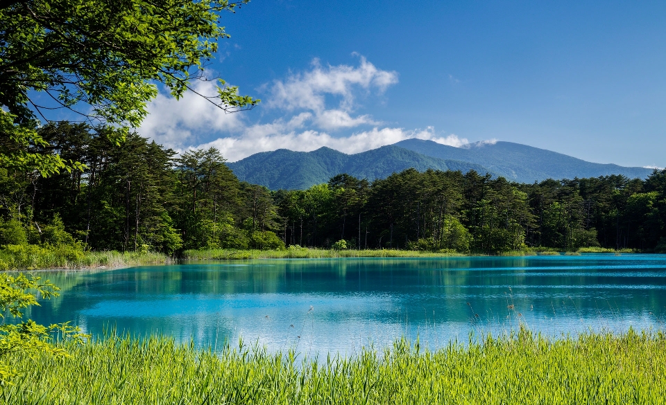 空 山 森 水