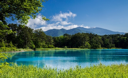 Foto Céu montanhas floresta água