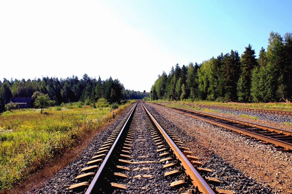 Pista ferrocarril campo vías de tren
