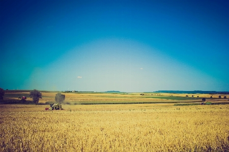 Landscape horizon plant sky Photo