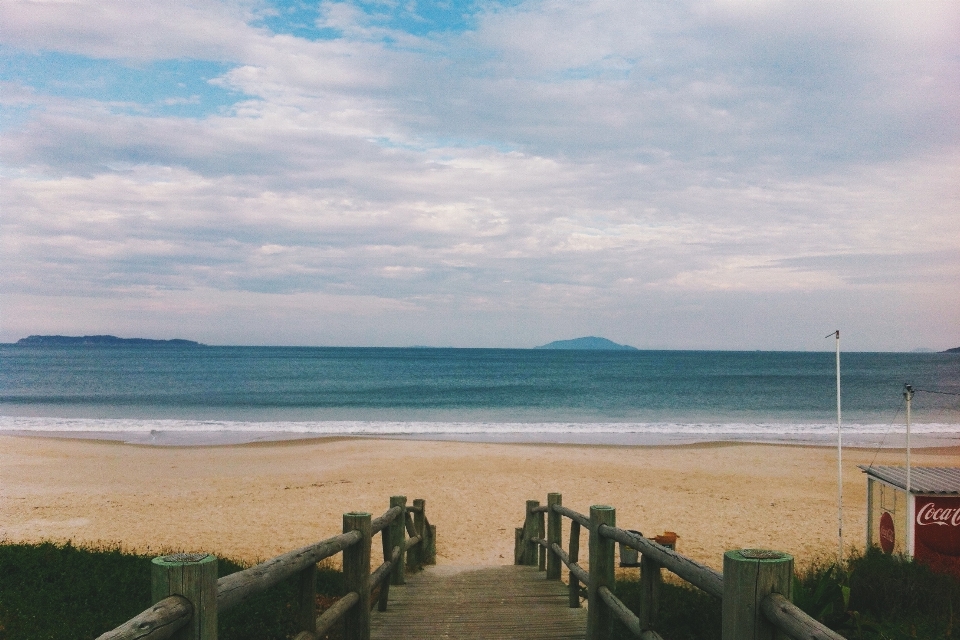 ビーチ 海 海岸 水