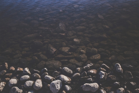 Sea coast water rock Photo