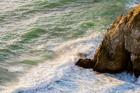 海滩 海 海岸 水 照片