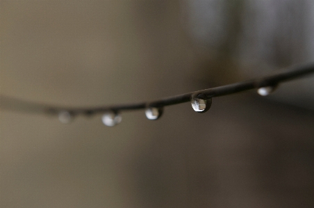 水 落とす 露 ライト 写真