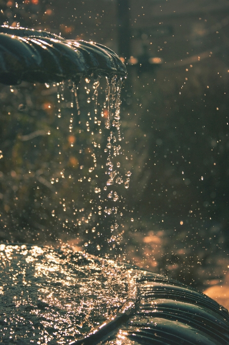 Water droplet light night