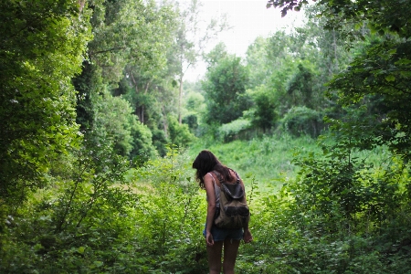 Tree forest wilderness walking Photo