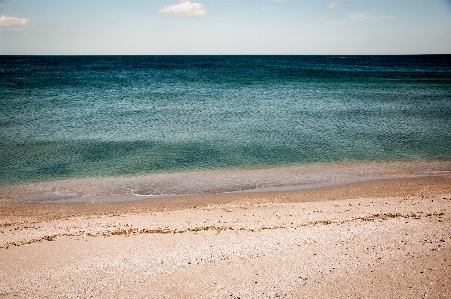 Beach sea coast water Photo