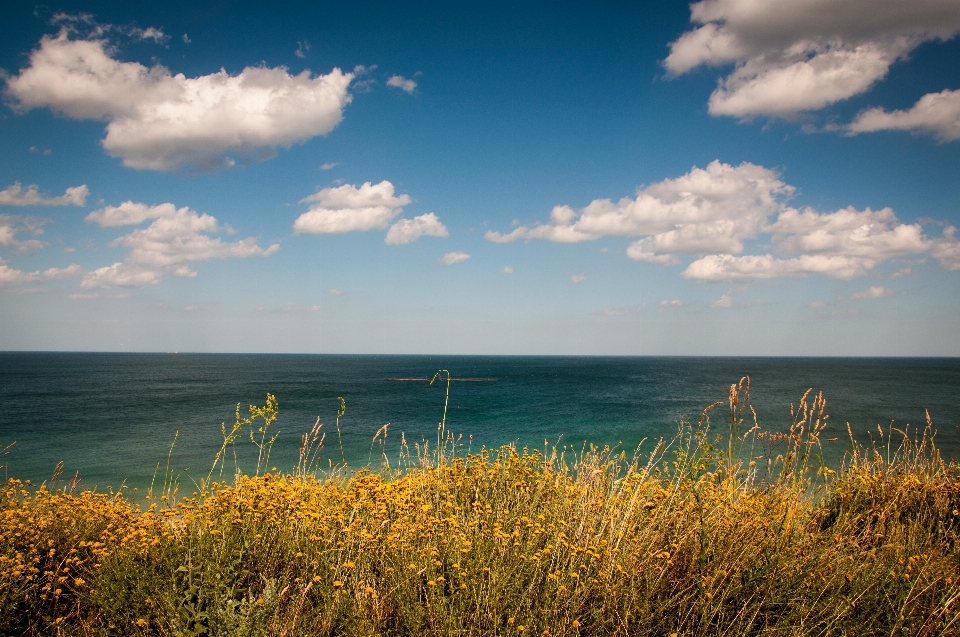 Beach landscape sea coast