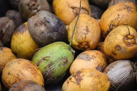 Plant fruit ripe food Photo