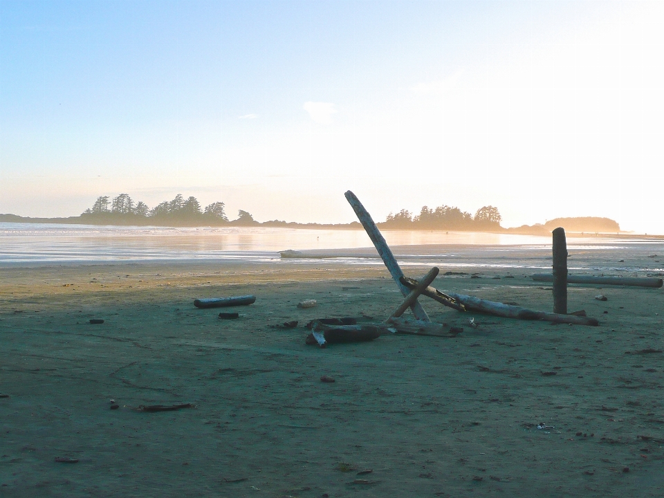 Strand treibholz
 meer küste