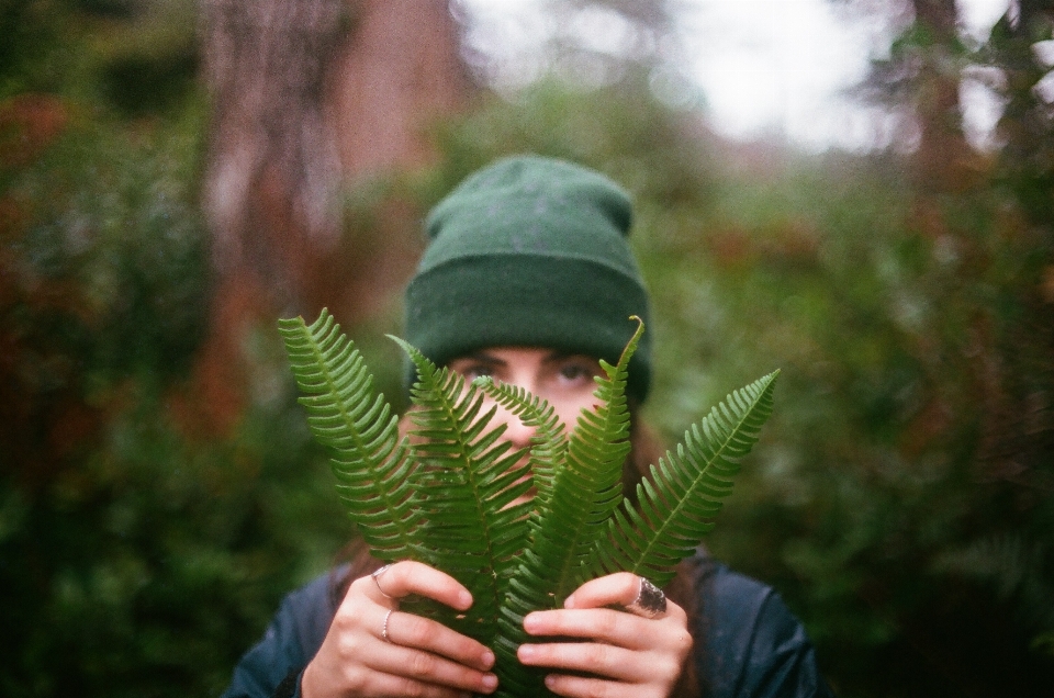 Hand baum natur wald