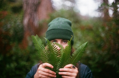 Hand baum natur wald Foto