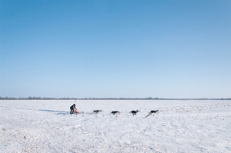 Beach sea sand snow Photo