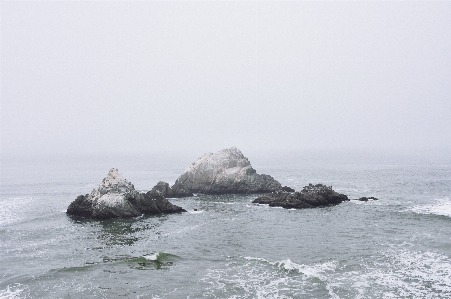 ビーチ 海 海岸 水 写真