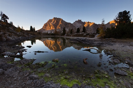 風景 木 水 自然 写真