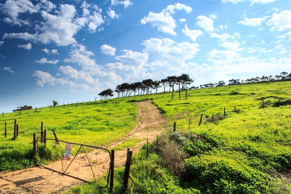 Landschaft gras zaun himmel