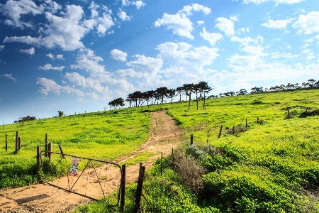 Landscape grass fence sky Photo