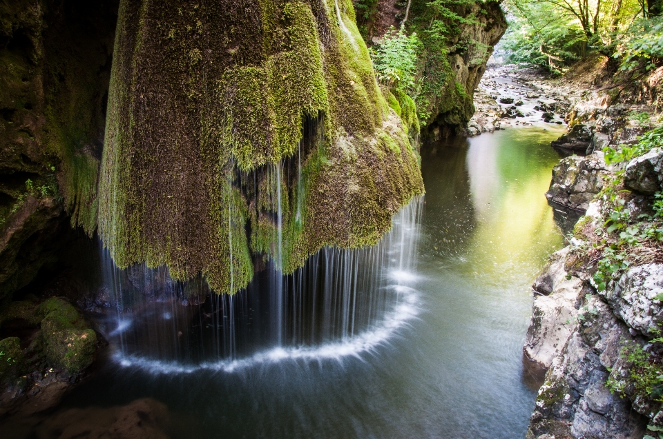 Agua naturaleza bosque cascada