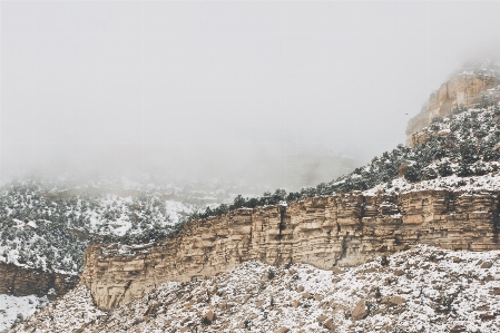 바다 집 밖의 rock 산 사진