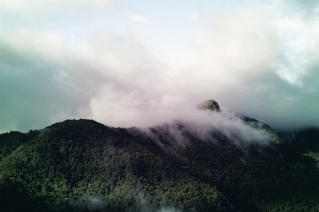 海 自然 森 山 写真