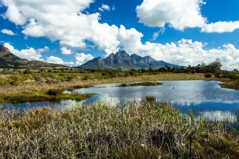 Paysage eau nature herbe