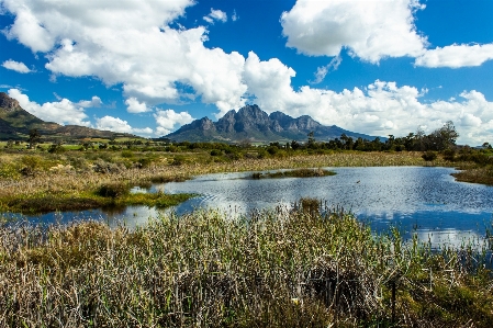 Landscape water nature grass Photo