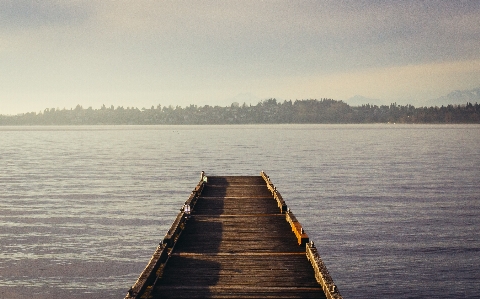 Sea coast water nature Photo